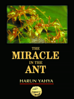 The Miracle in the Ant