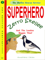 Superhero Zerro Skellee And The London Magpie Thief