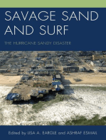 Savage Sand and Surf: The Hurricane Sandy Disaster