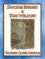 DOCTOR RABBIT and TOM WILDCAT - An illustrated story in the style of Peter Rabbit and Friends