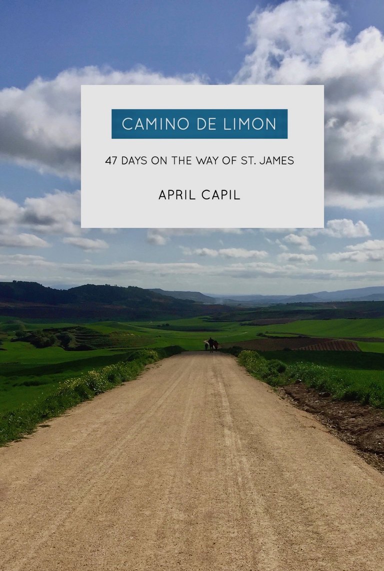 Camino De Limon: 47 Days on the Way of St. James by April Capil (Ebook ...