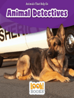 Animal Detectives