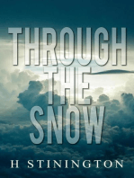 Through the Snow