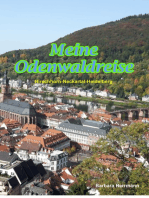 Meine Odenwaldreise: Hirschhorn-Neckartal-Heidelberg