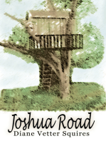 Joshua Road