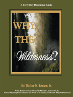 Why the Wilderness