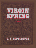 Virgin Spring: A Southwest Story of Romance and Adventure