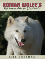 Roman Wolfe's Adirondack Ordeal