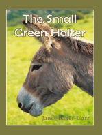 The Small Green Halter