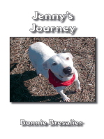 Jenny's Journey