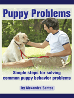 Puppy Problems: Simple Steps for Solving Common Puppy Behavior Problems