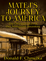 Matej's Journey to America: The Driving Forces of Our Immigrant Ancestors