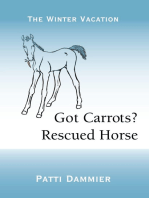 Got Carrots? Rescued Horse
