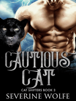 Cautious Cat