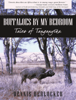 Buffaloes by My Bedroom