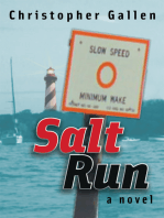 Salt Run: A Novel