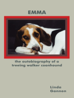 The Autobiography of a Treeing Walker Coonhound: Emma