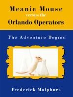 Meanie Mouse Versus the Orlando Operators