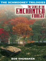 The Secret of the Enchanted Forest: The Schmooney Trilogies