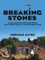 Breaking Stones: A Rollercoaster Ride from the Stone Age to the Internet Age