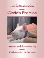 Ozzie's Promise