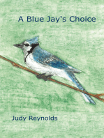 A Blue Jay's Choice
