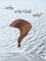 Why Why God Why?