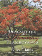 Beneath the Flowering Flamboyants