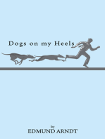 Dogs on My Heels