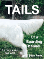 Tails of a Boarding Kennel