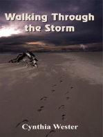 Walking Through the Storm