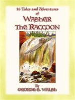 WASHER THE RACCOON - 16 Escapades and Adventures of Washer the Raccoon