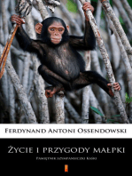 Życie i przygody małpki: Pamiętnik szympansiczki Kaśki