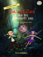 Zak and Zara and the Invisibility Ball. A Story of Doon Hill. Children's Book.
