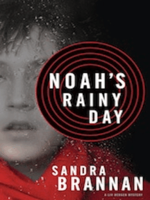 Noah's Rainy Day by Sandra Brannan (Ebook) Read free for 30 days