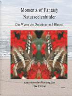 Moments of Fantasy, Naturseelenbilder: Das Wesen der Orchideen und Blumen