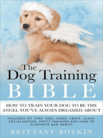 The Dog Training Bible - How to Train Your Dog to be the Angel You’ve Always Dreamed About
