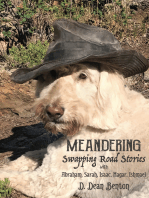 Meanderings