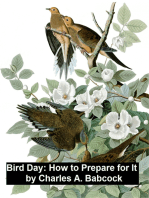Bird Day: How to Prepare for It