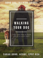 Walking Your Dog