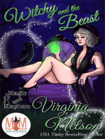 Witchy and the Beast: Magic and Mayhem Universe