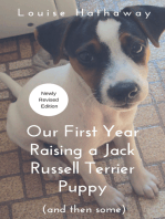 Our First Year Raising a Jack Russell Terrier Puppy (And Then Some)