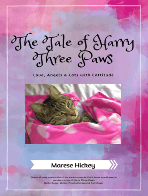 three paws pet supply