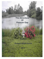 The Adventure of Possum Gap