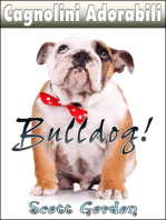 Cagnolini Adorabili: I Bulldog: Cagnolini Adorabili