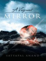 A Vagrant Mirror