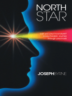 North Star: Can You Psychoanalyse? a Psychedelic Journey Through Psychosis