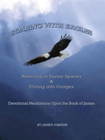 Soaring with Eagles: Reveling in Sunny Spaces and Diving into Gorges Devotional Meditations Upon the Book of James