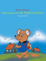 Adventures of the Fluffytail Mouse