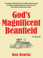 God’S Magnificent Beanfield